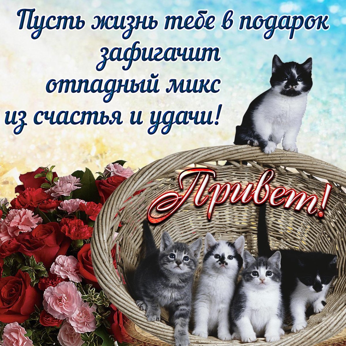 С приветиком