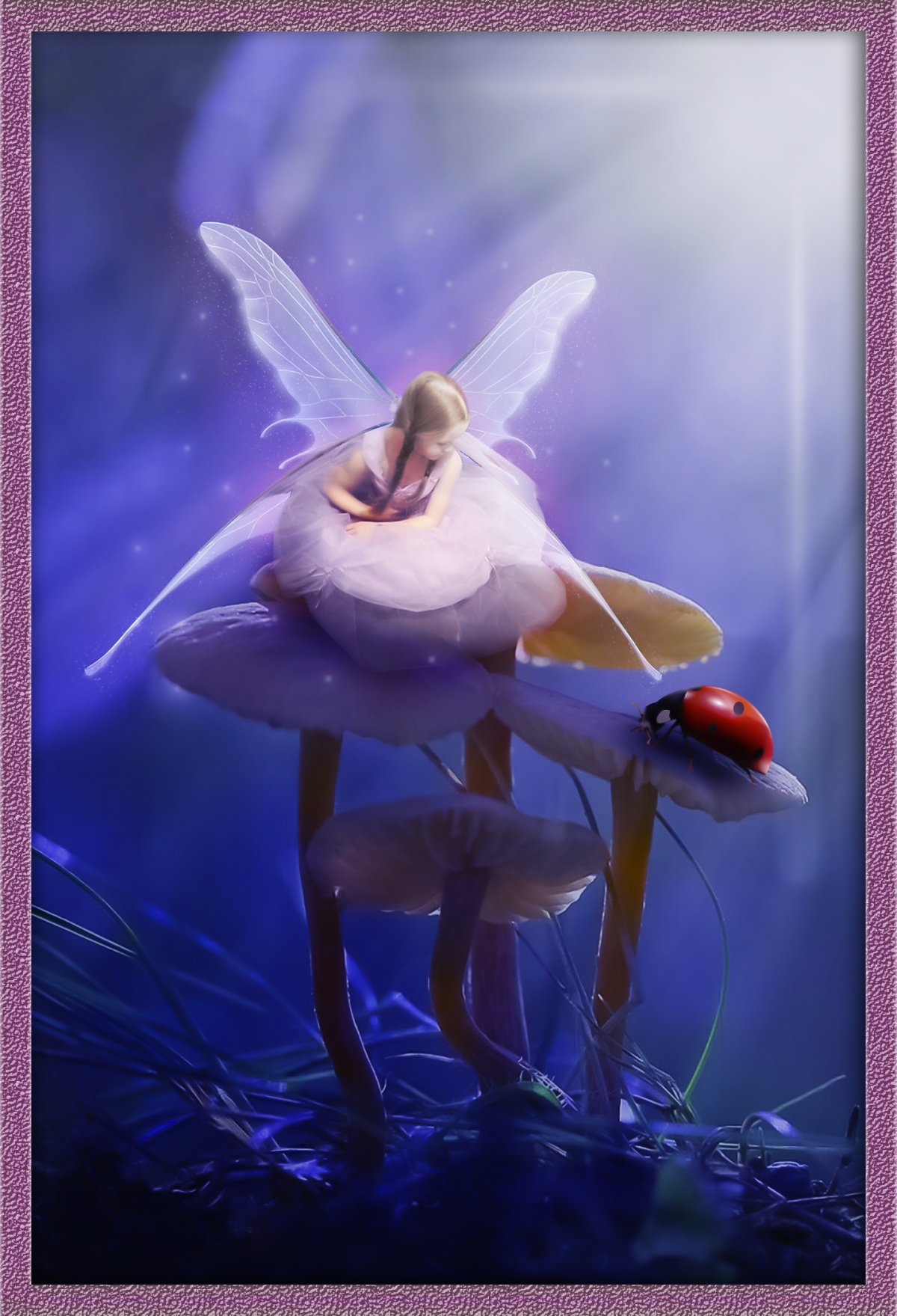 Спокойной ночи Фея