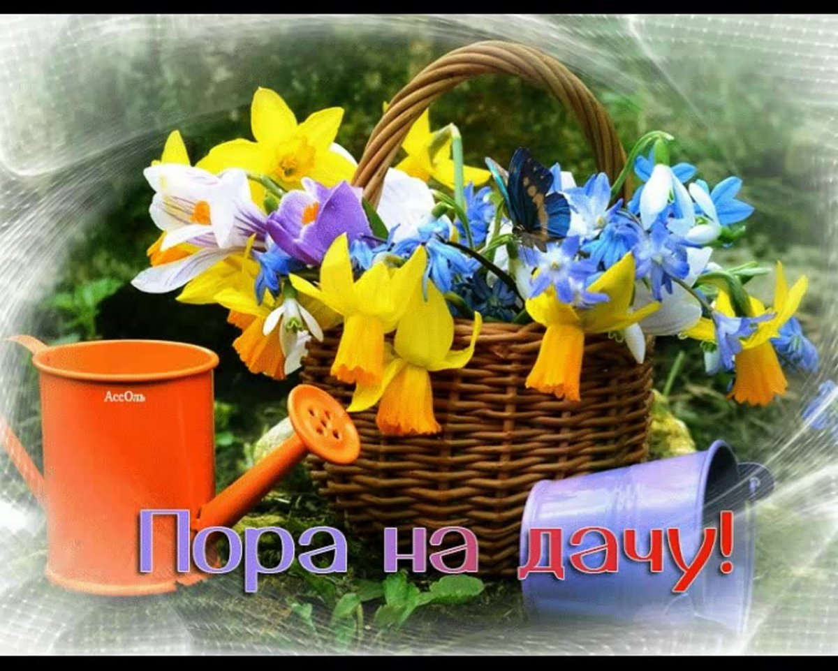 Прикол Мои 6 соток