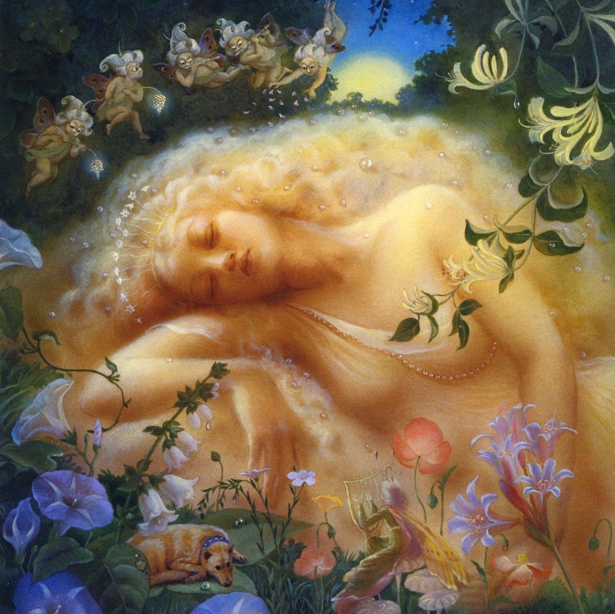 Спокойной ночи с РО ашками