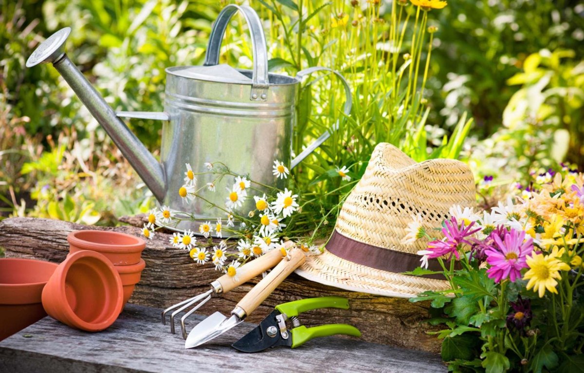 Огород юмор