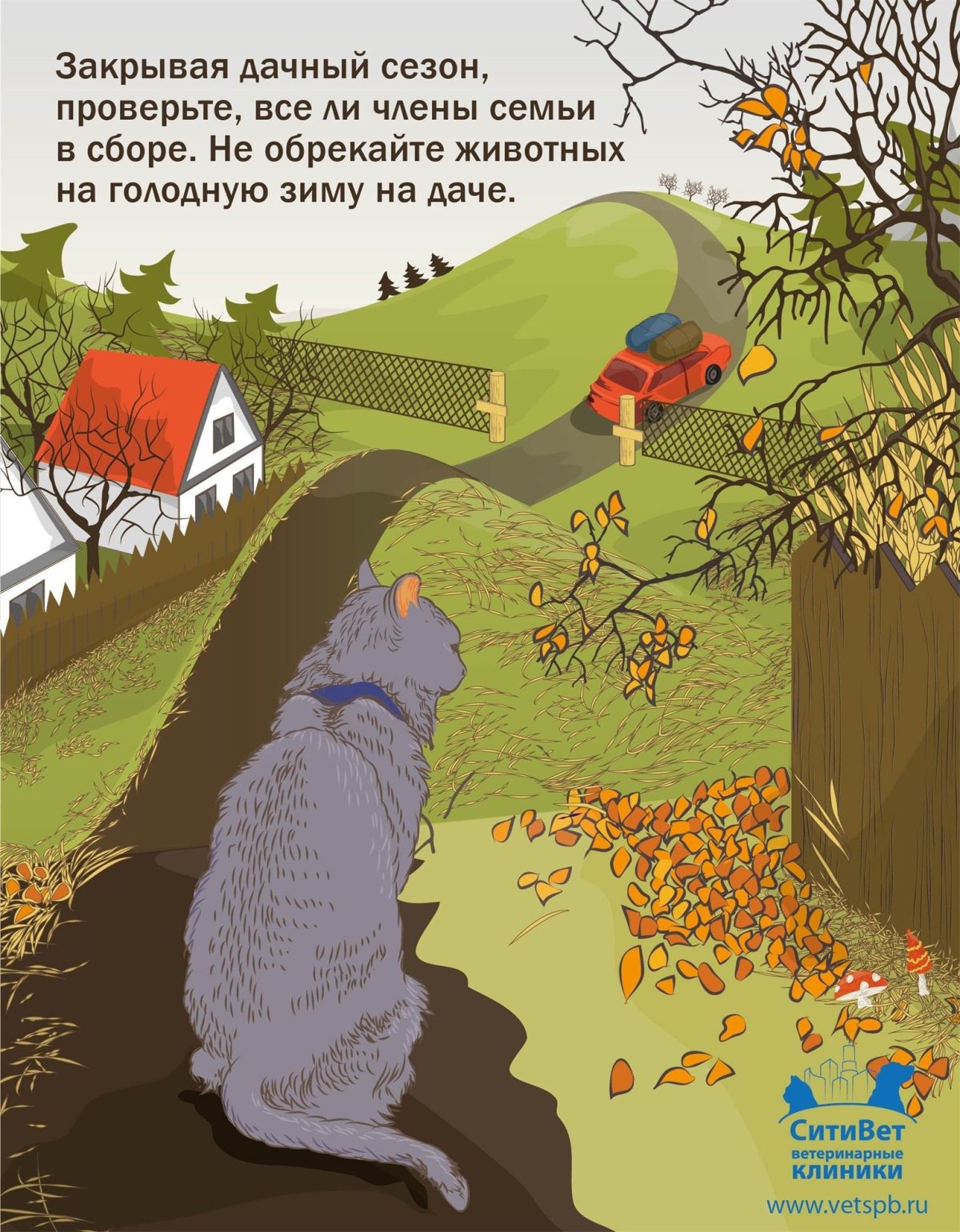 Открытие дачного сезона