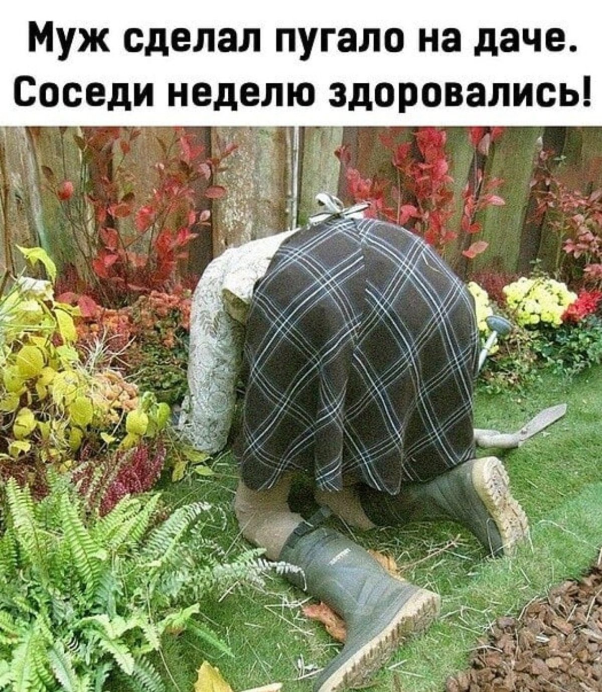 День дачника