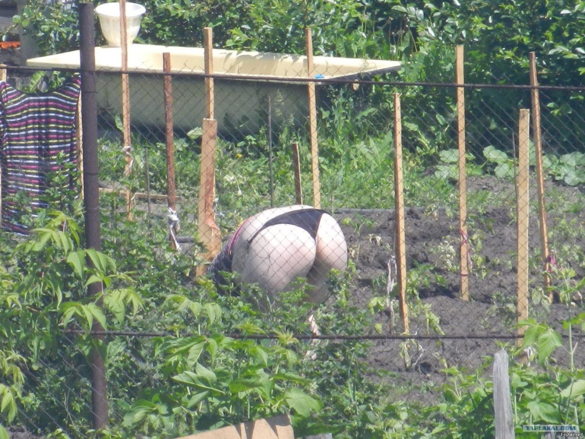 Девушки в огороде на даче