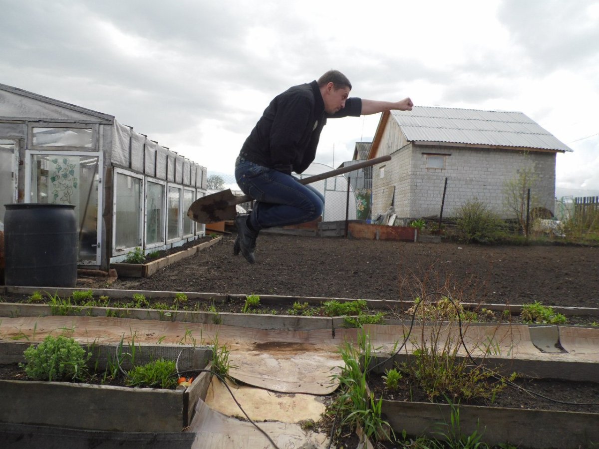 Соседи по даче прикольные