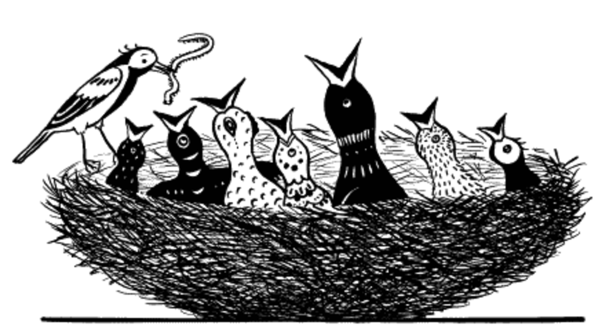 Коза и семеро козлят мультфильм