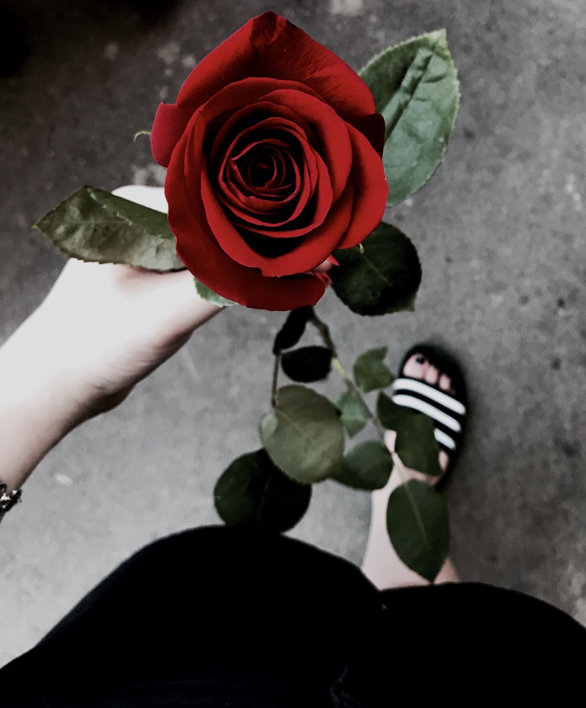 Девушка с розой в руках