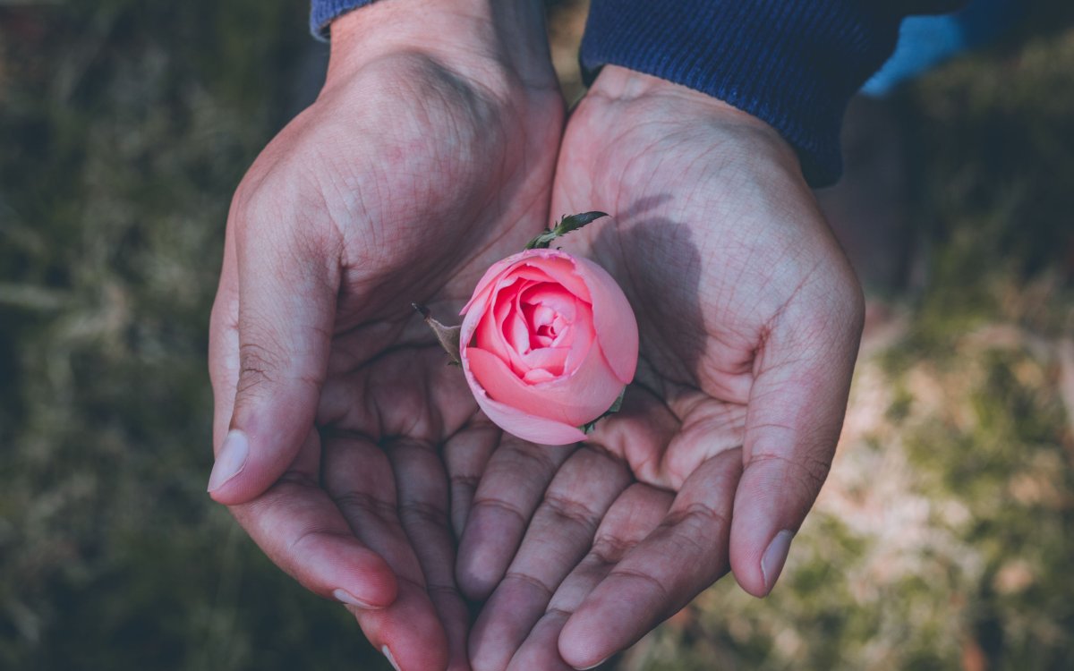 Цветы в ладонях