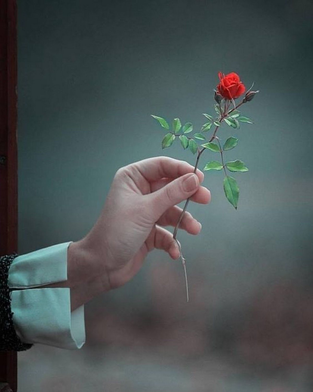 Розарий в руке