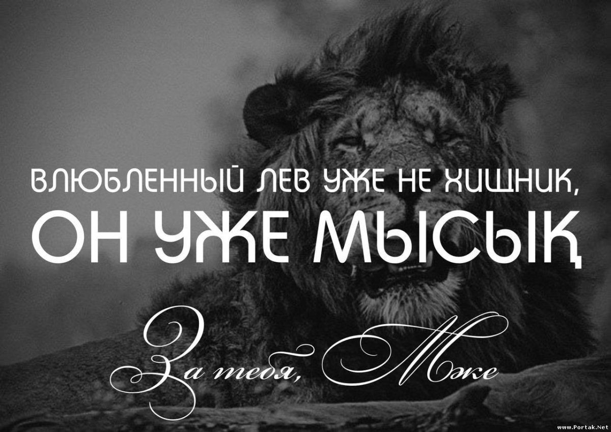 Влюбленный Лев уже не хищник