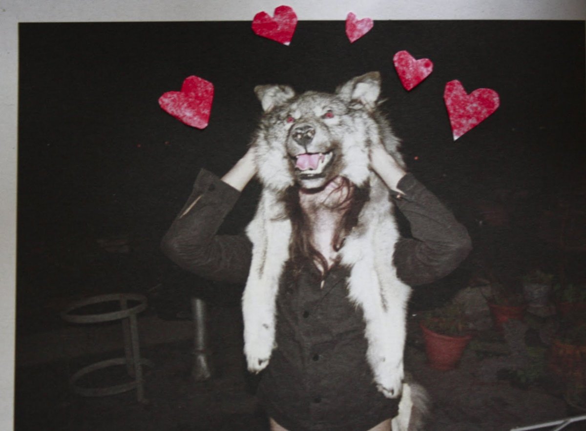 Волк стесняется