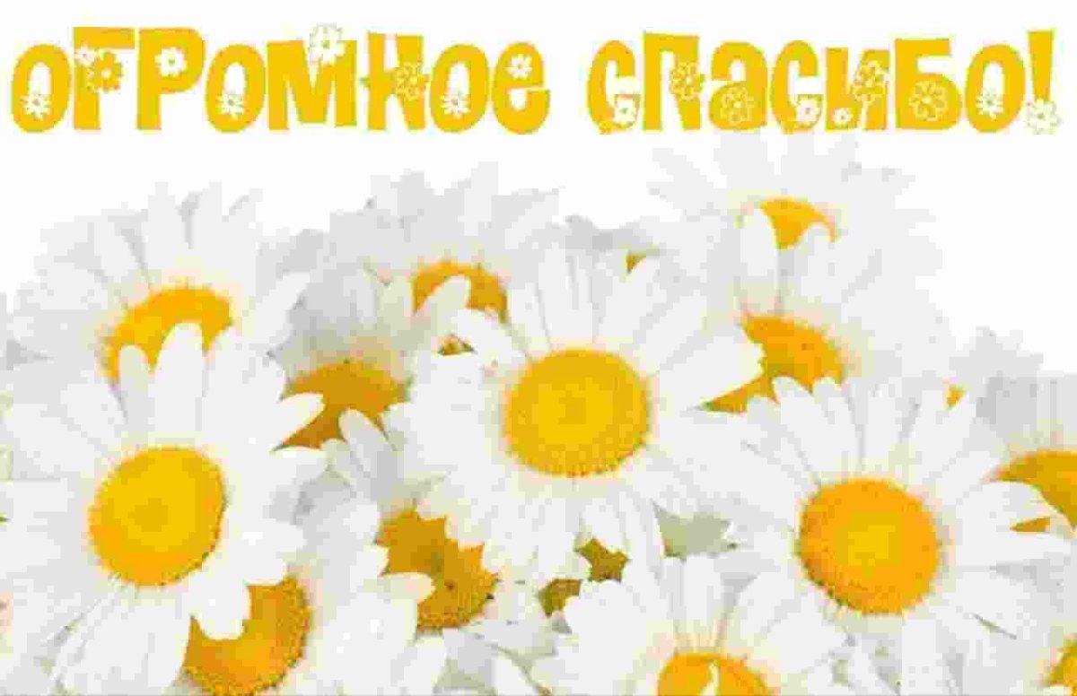 Подарки из одноклассников