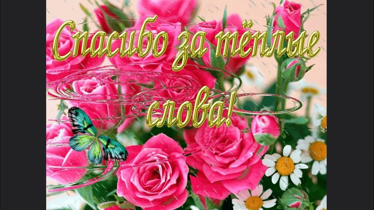 Счастья в новом дне