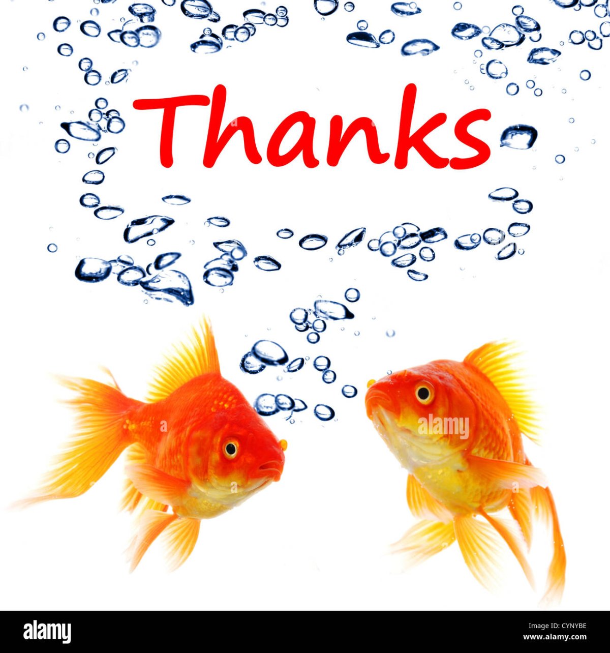 Спасибо за рыбку картинка