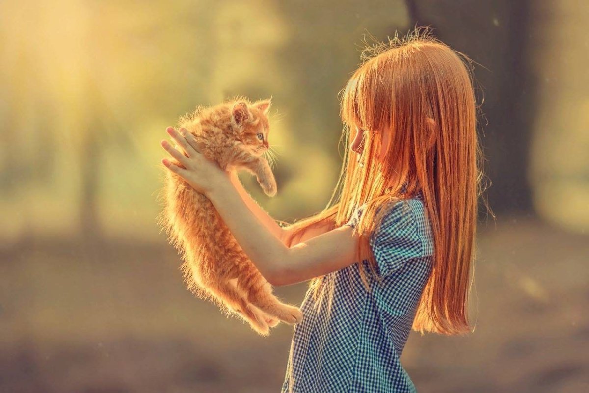 Девочка с рыжим котом