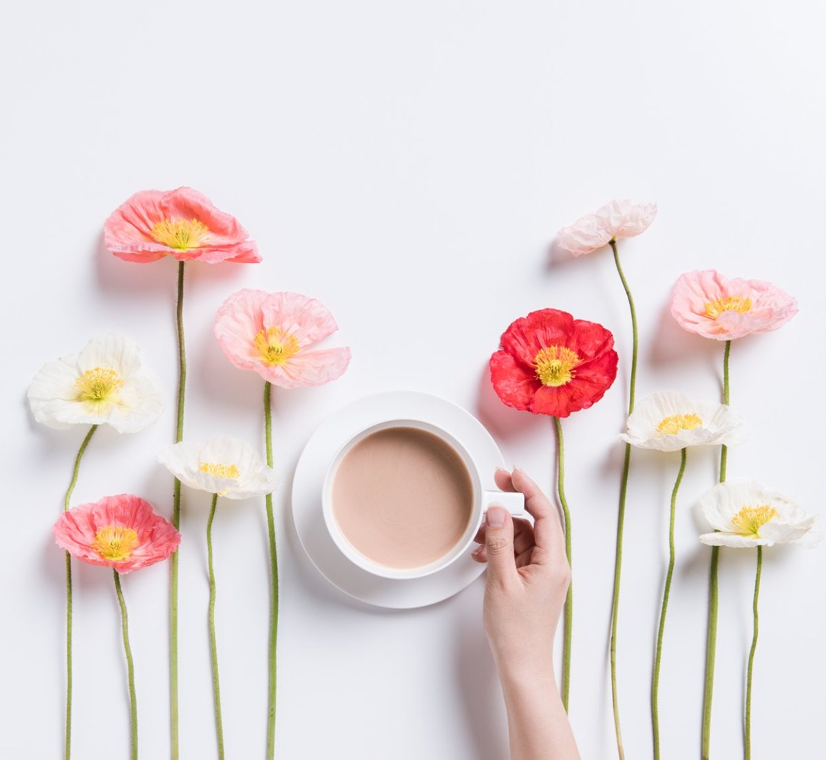 Доброе субботнее утро