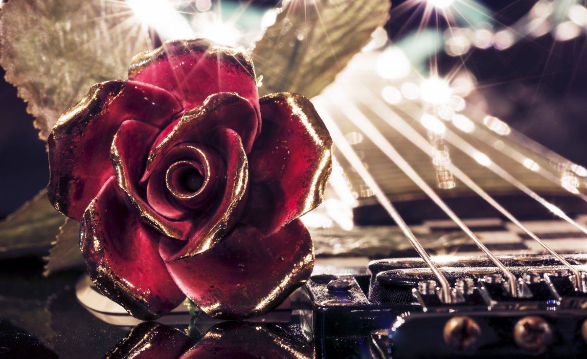 Гитара красивый роза