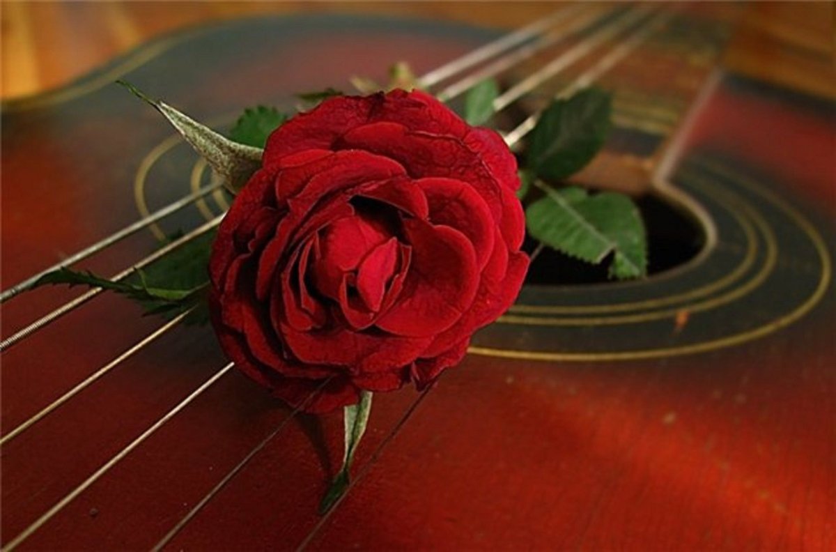 Гитара и роза
