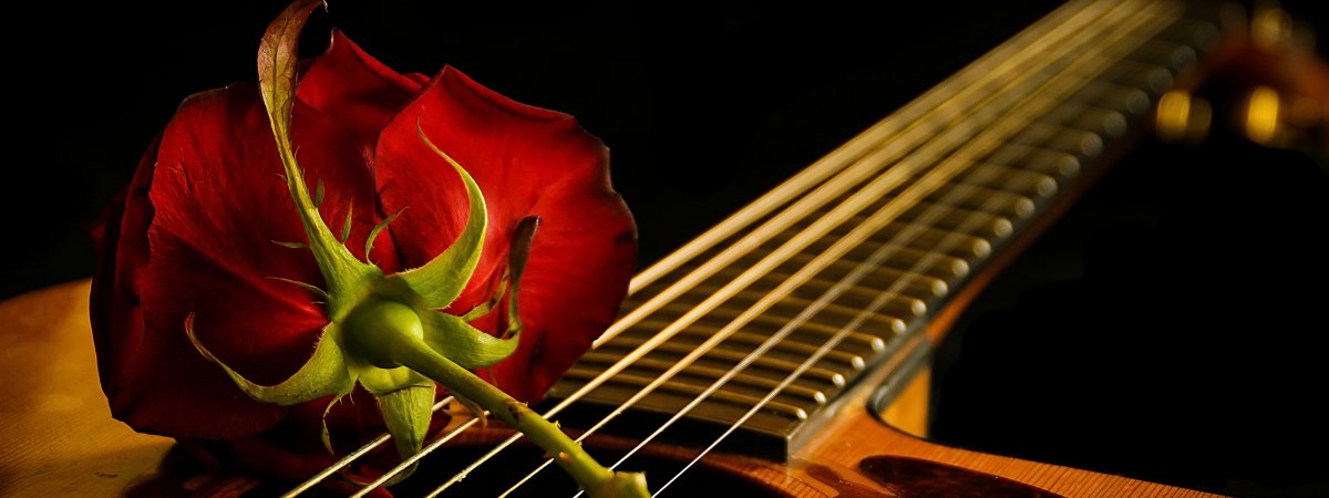 Розочка с гитарой