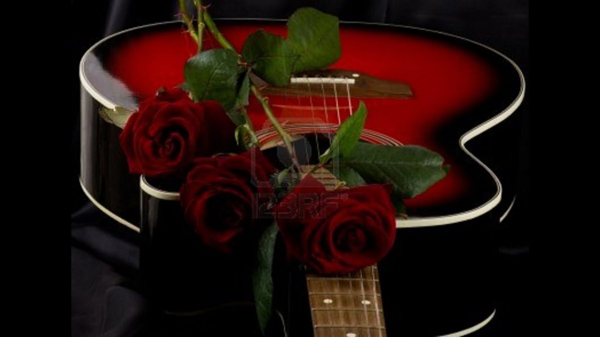 Гитара и роза