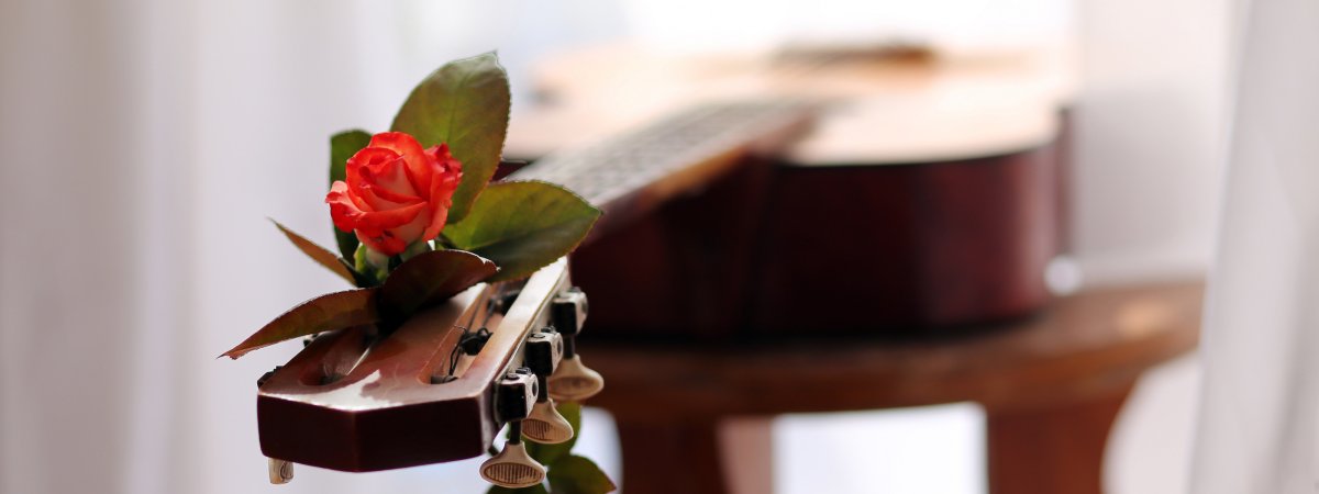 Роза любовь музыка обои