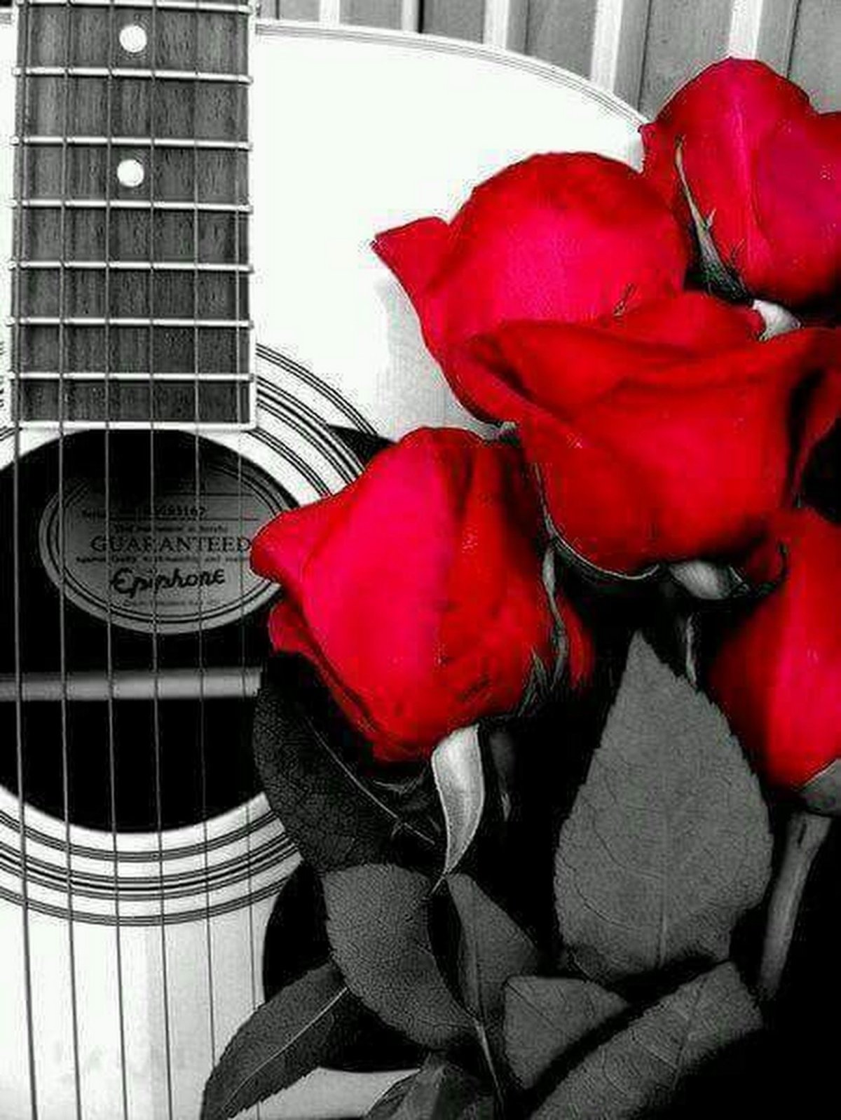 Электрогитара с цветами