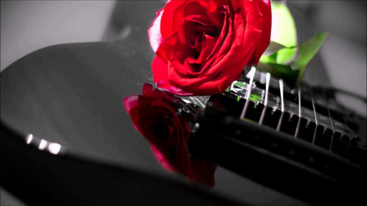 Гитара и роза