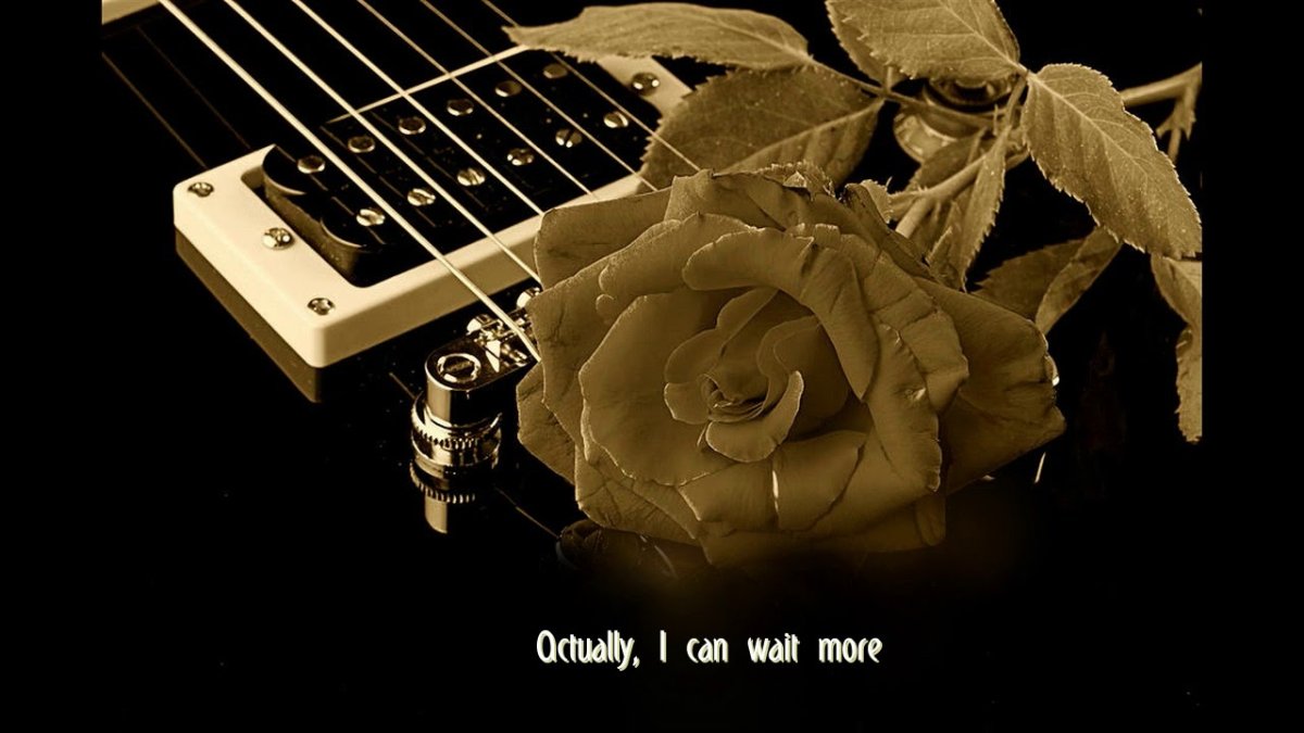 Электрогитара и роза