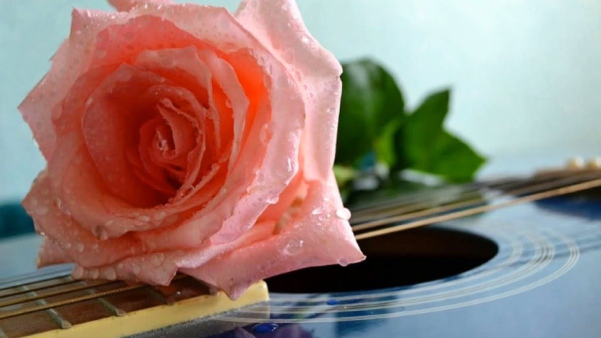 Гитара цветы