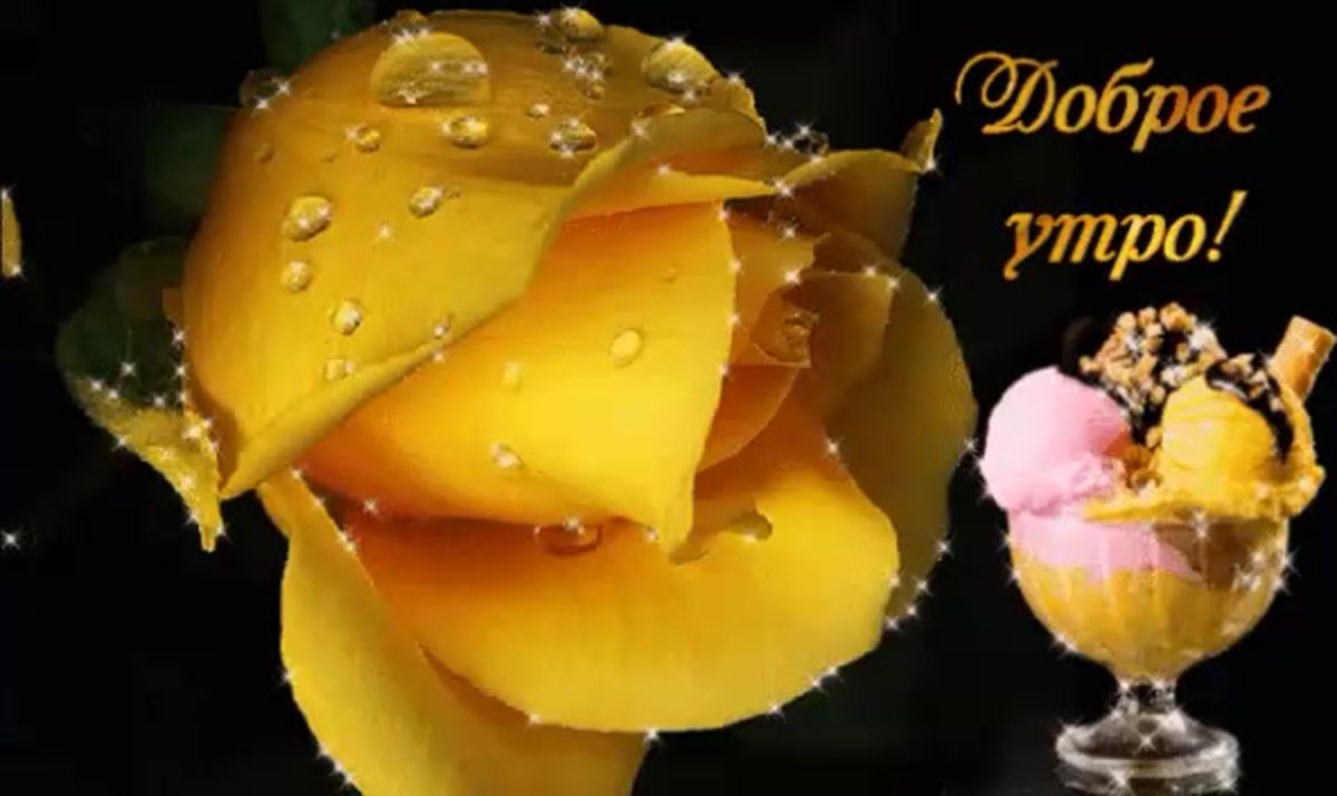 Доброе утро цветы на чёрном фоне