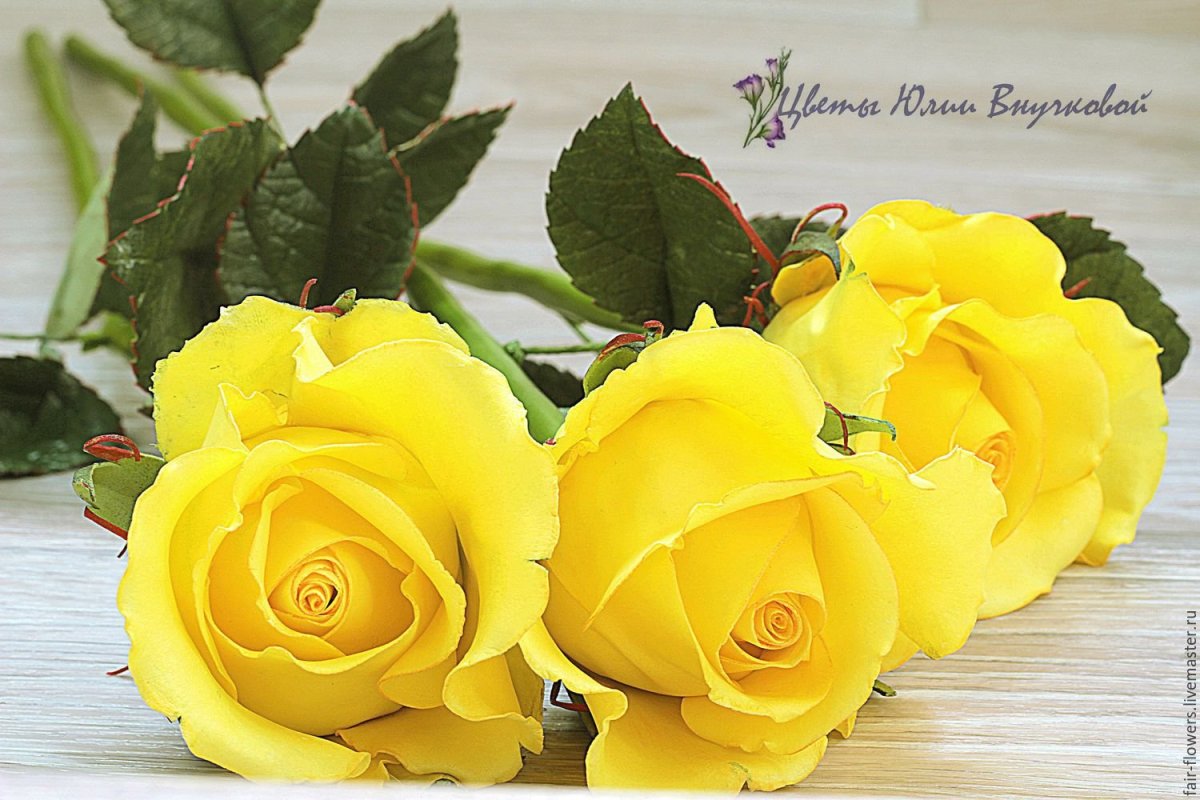 Intuition Colors Yellow l8644