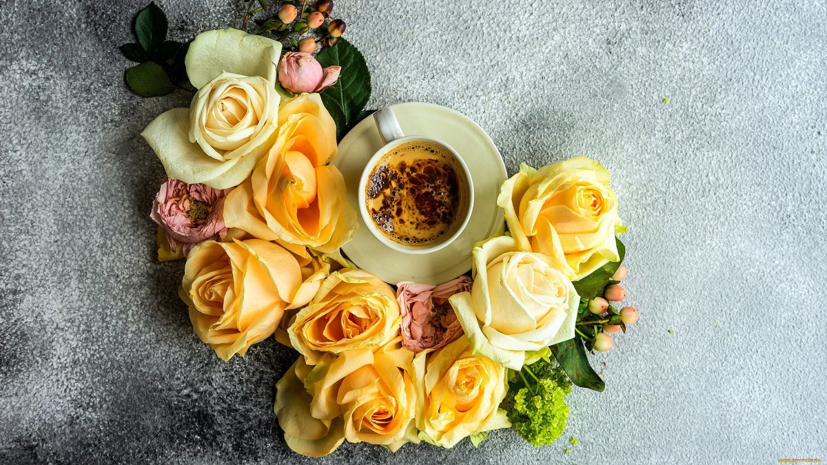 Кофе и роза