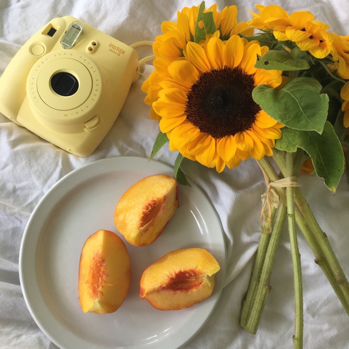 Эстетика персикового и розового