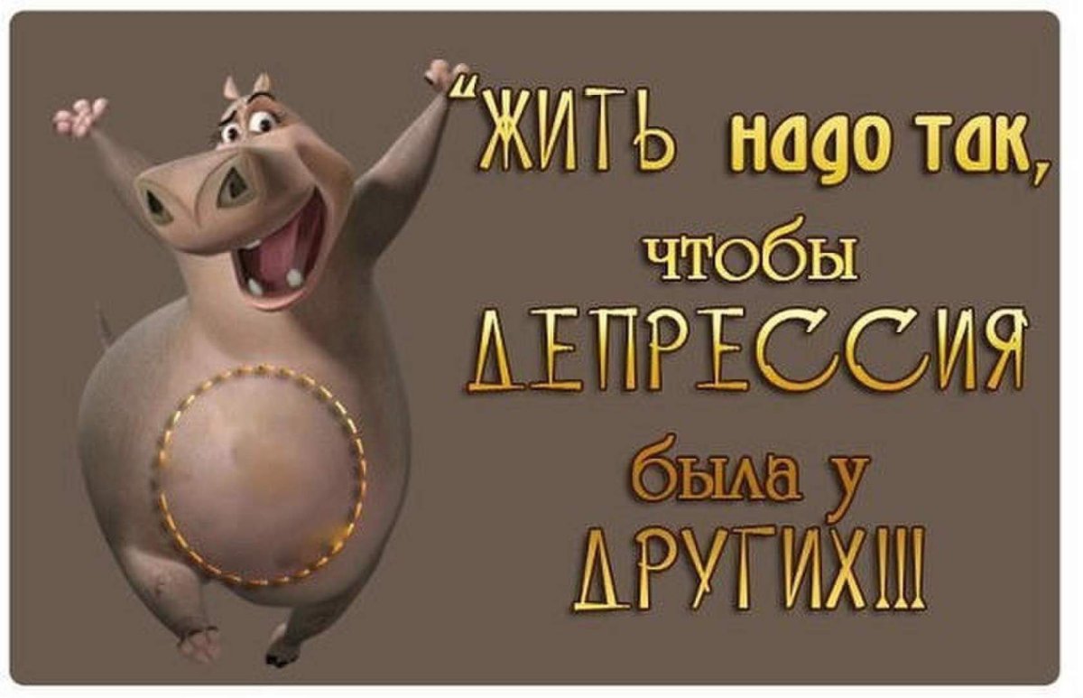 Радуйтесь жизни