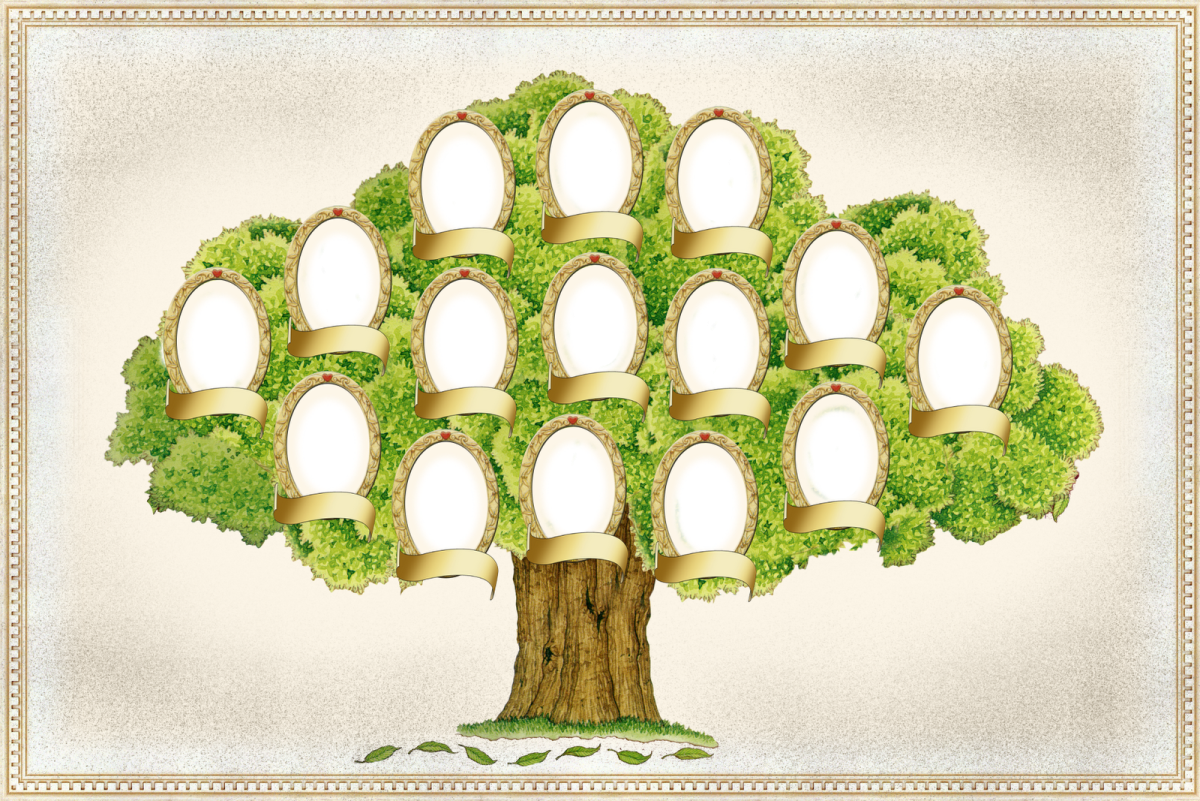 Генеалогическое Древо 12 человек