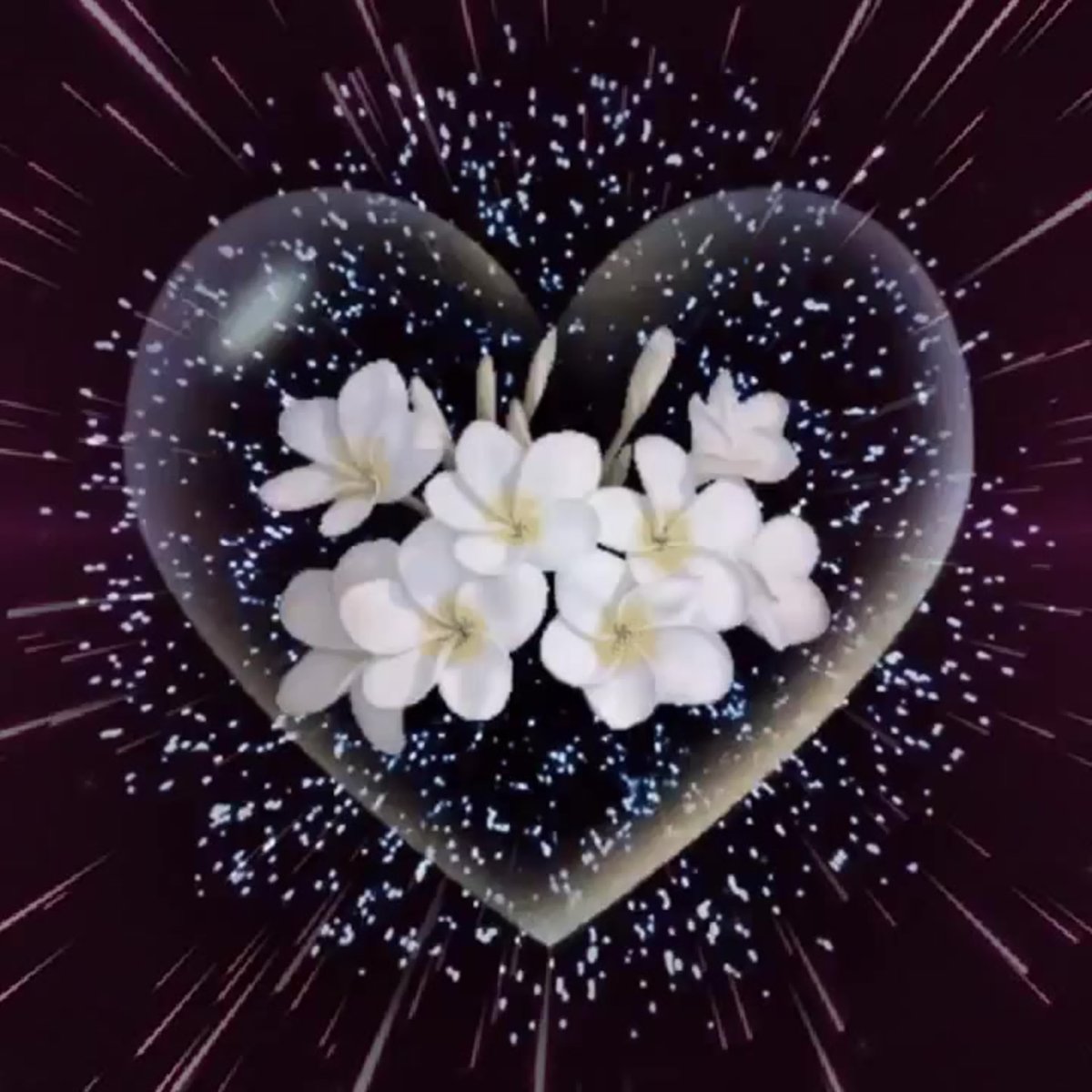 Мерцающие цветы спокойной ночи.