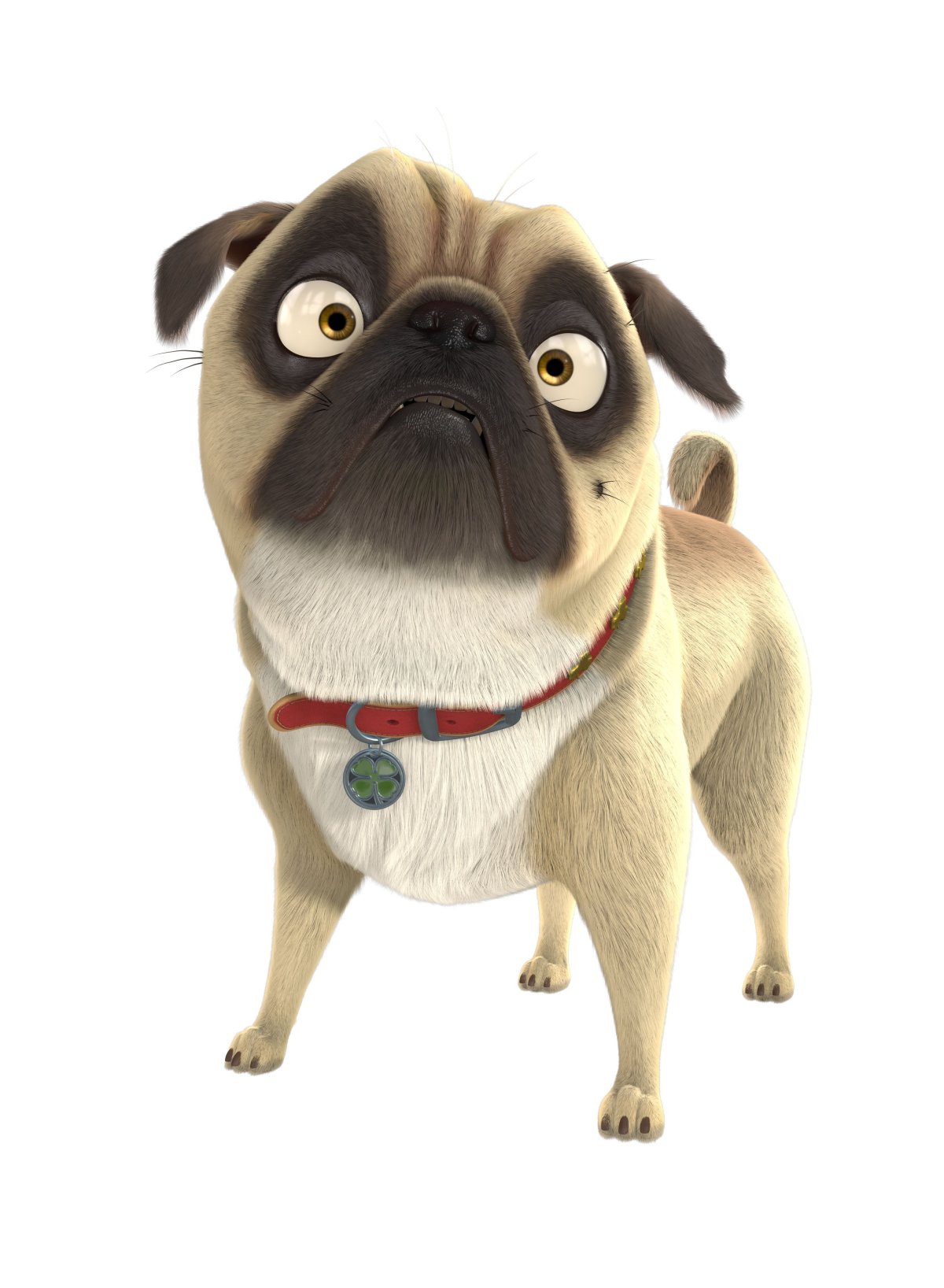 Тайная жизнь домашних животных Мопс