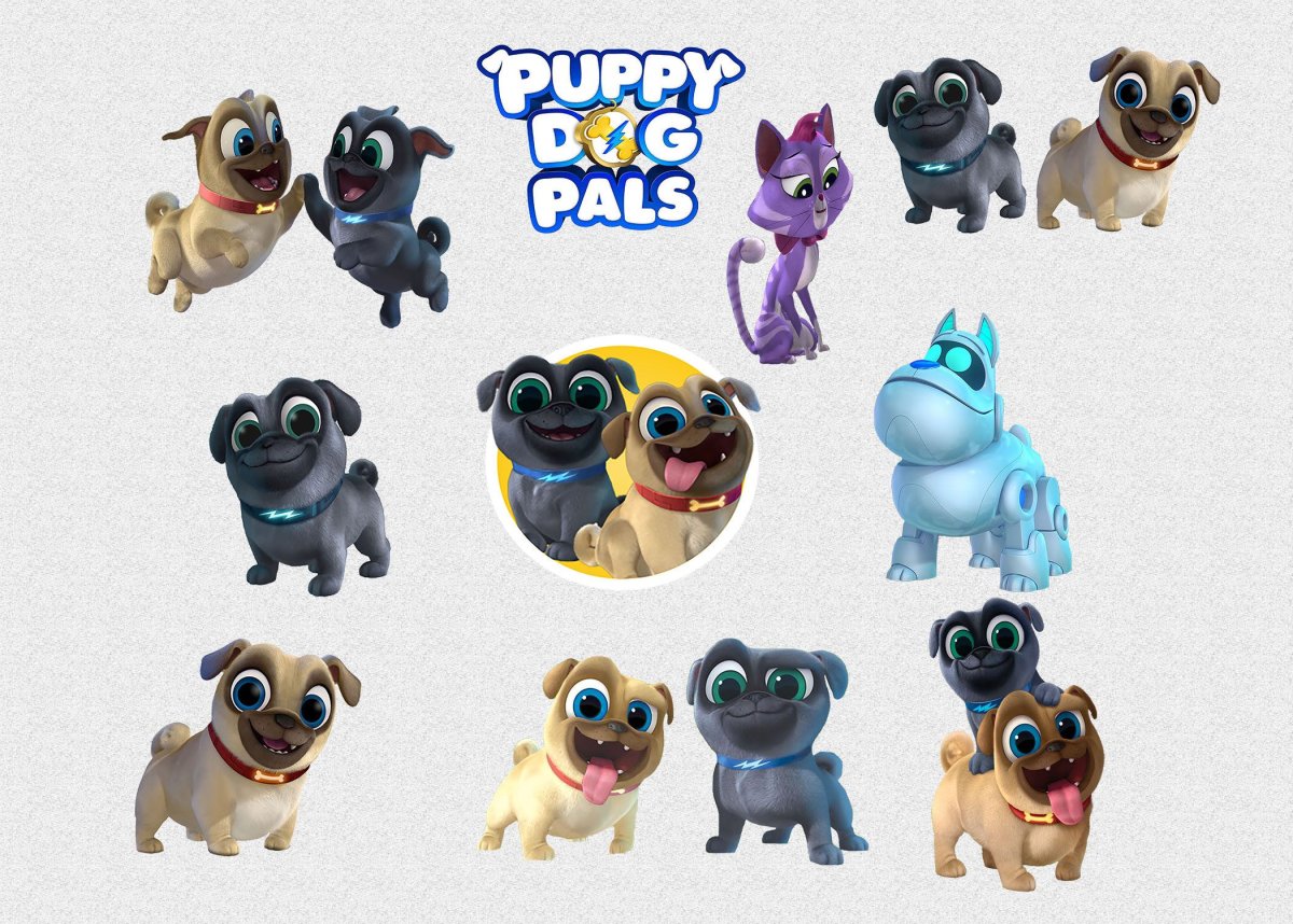 Мопсы Ролли и Бинго