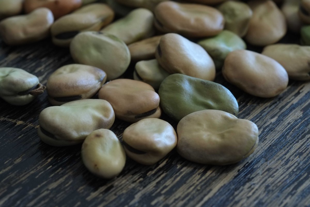 Бобы Фава зеленые