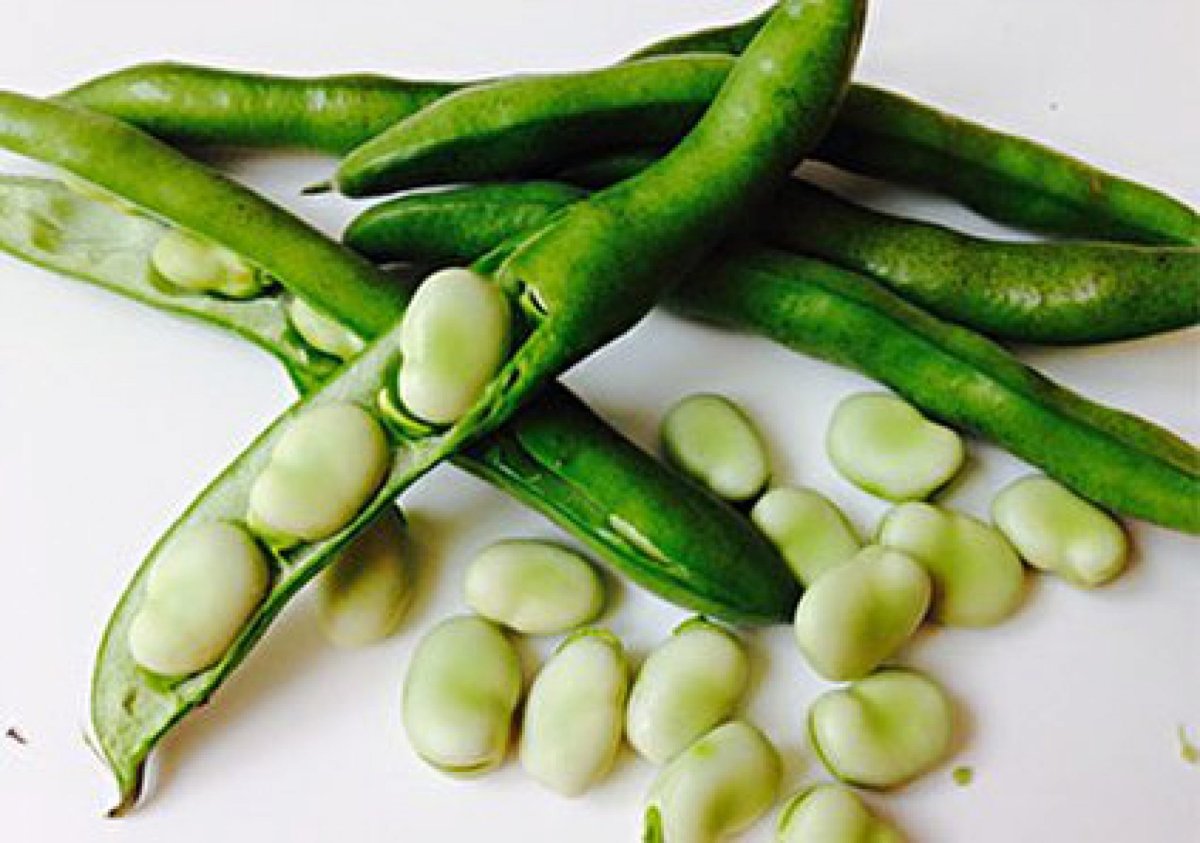 Бобы картинка