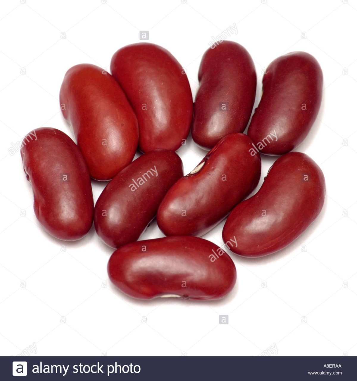 Какао Бобы плод