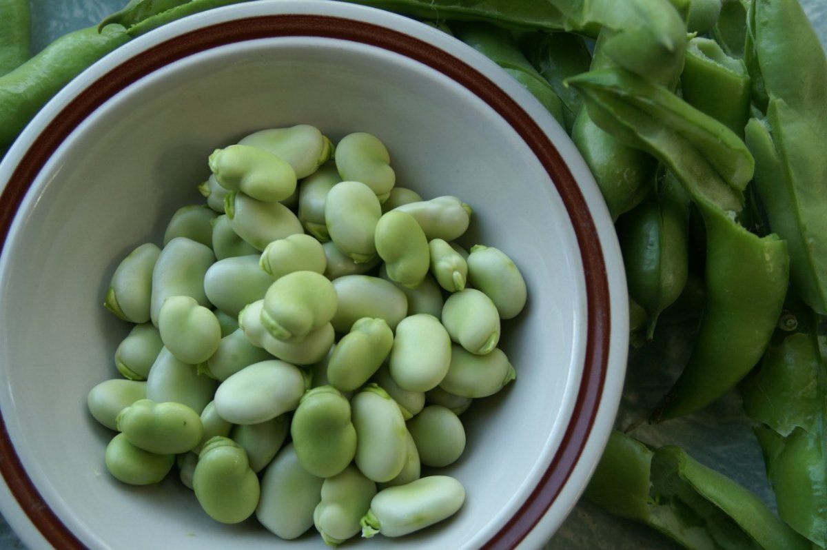 Бобы без фона