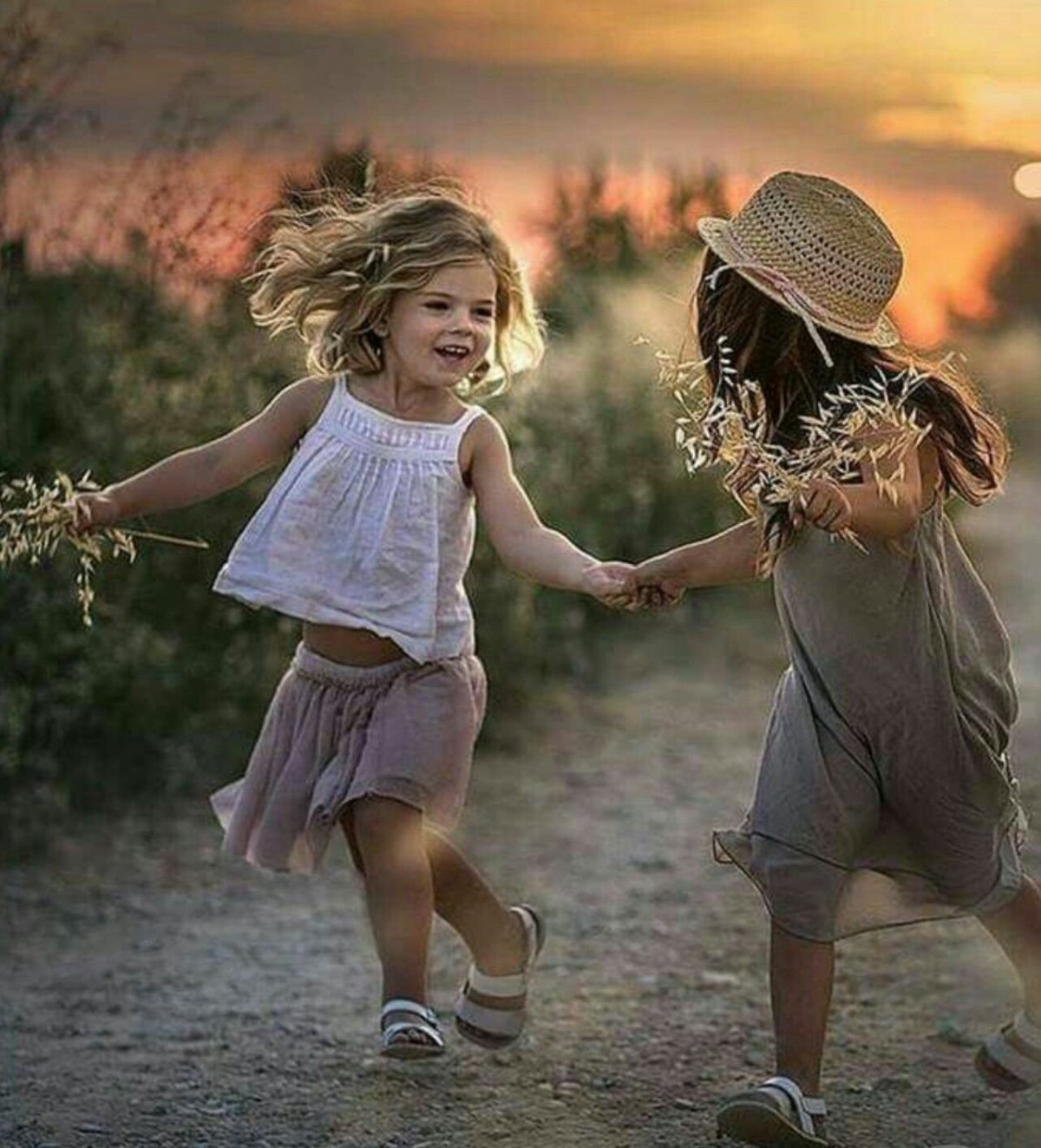 Котики и собачки картинки