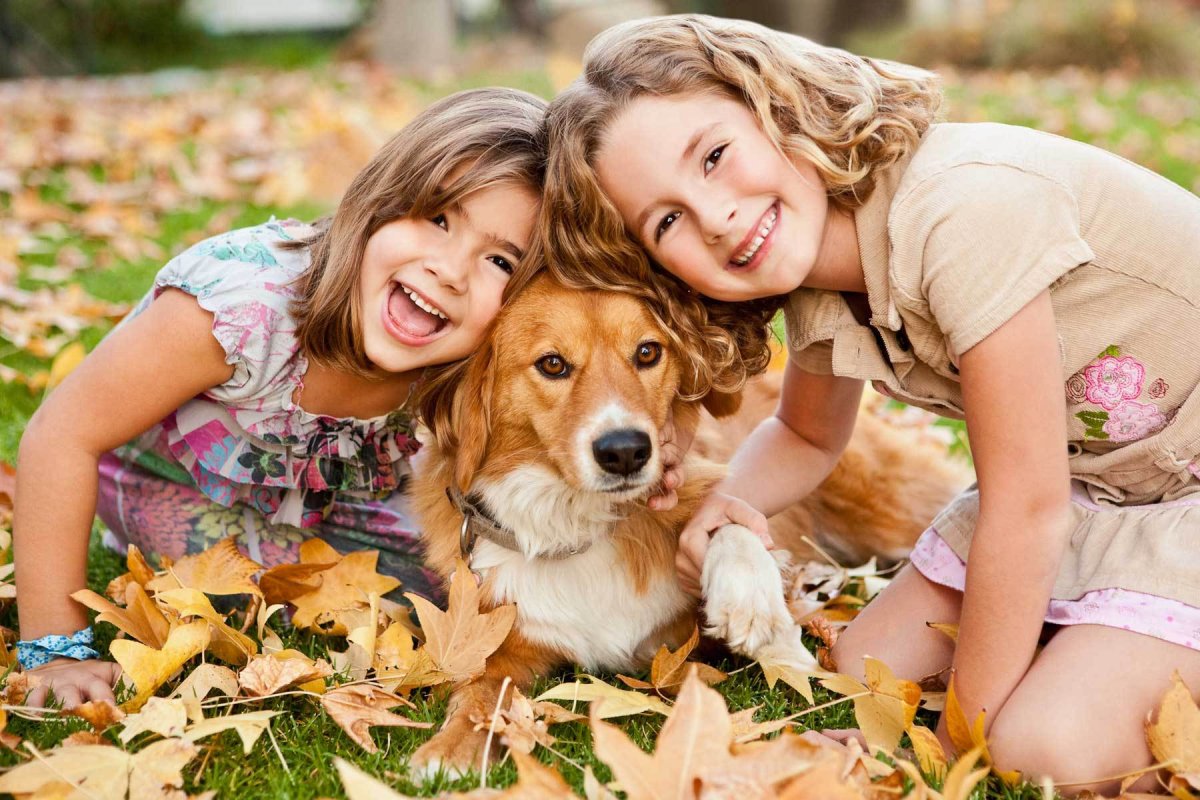 Валентина Осеева плохо