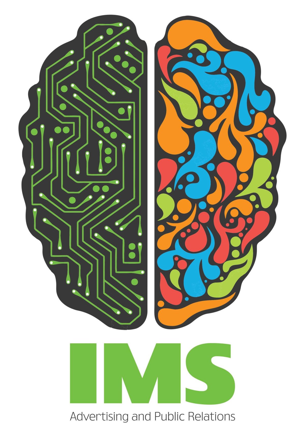 Полушария мозга