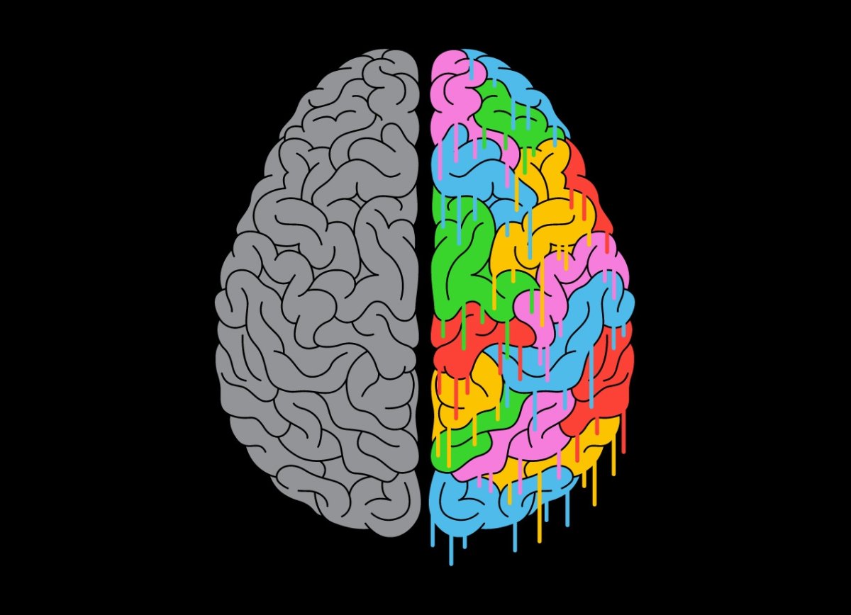 Два полушария мозга