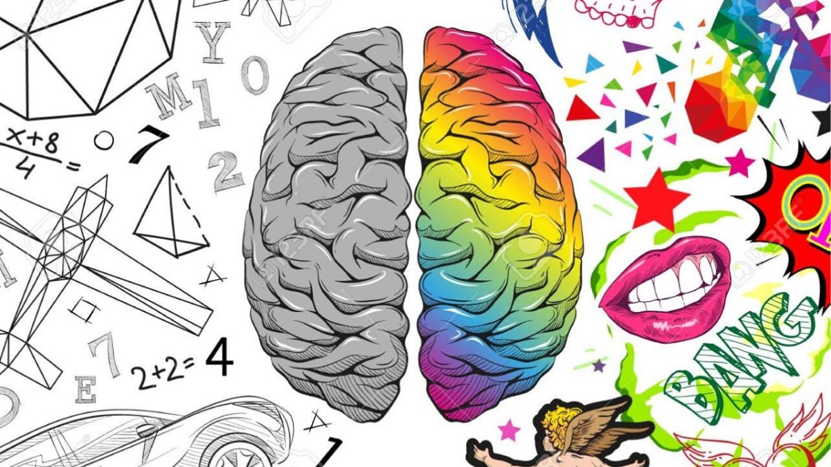 Творческое полушарие