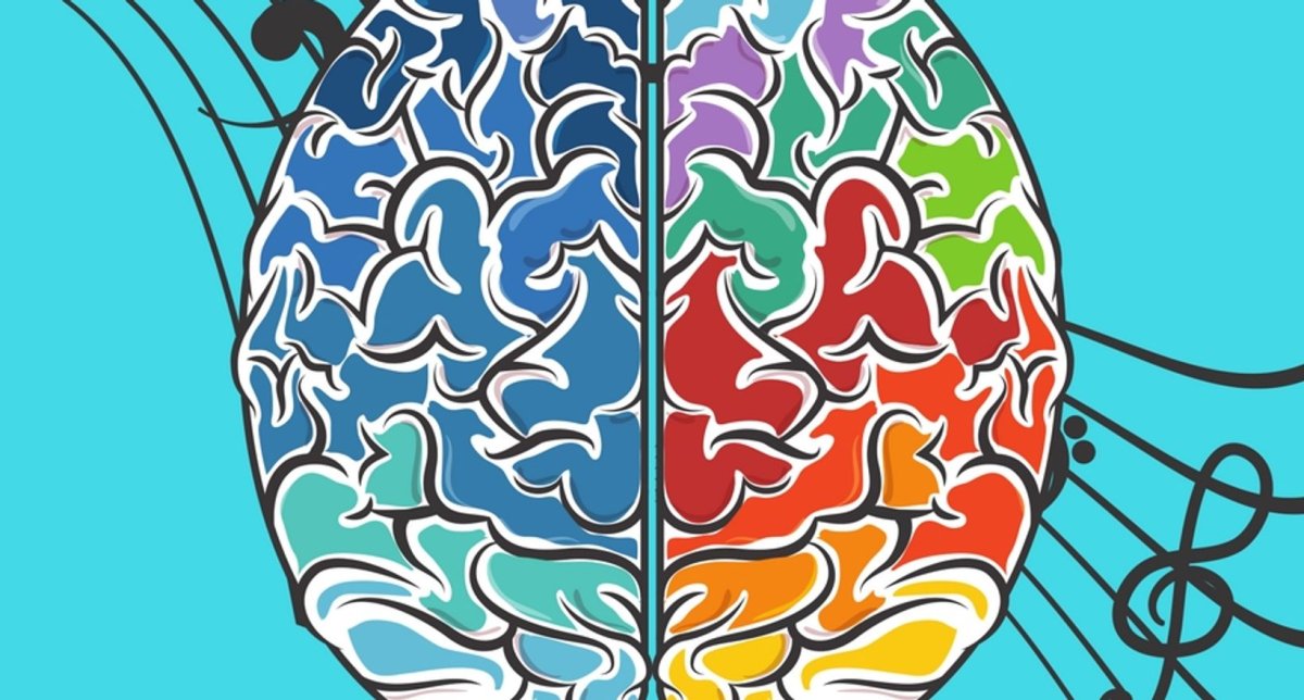 Два полушария мозга