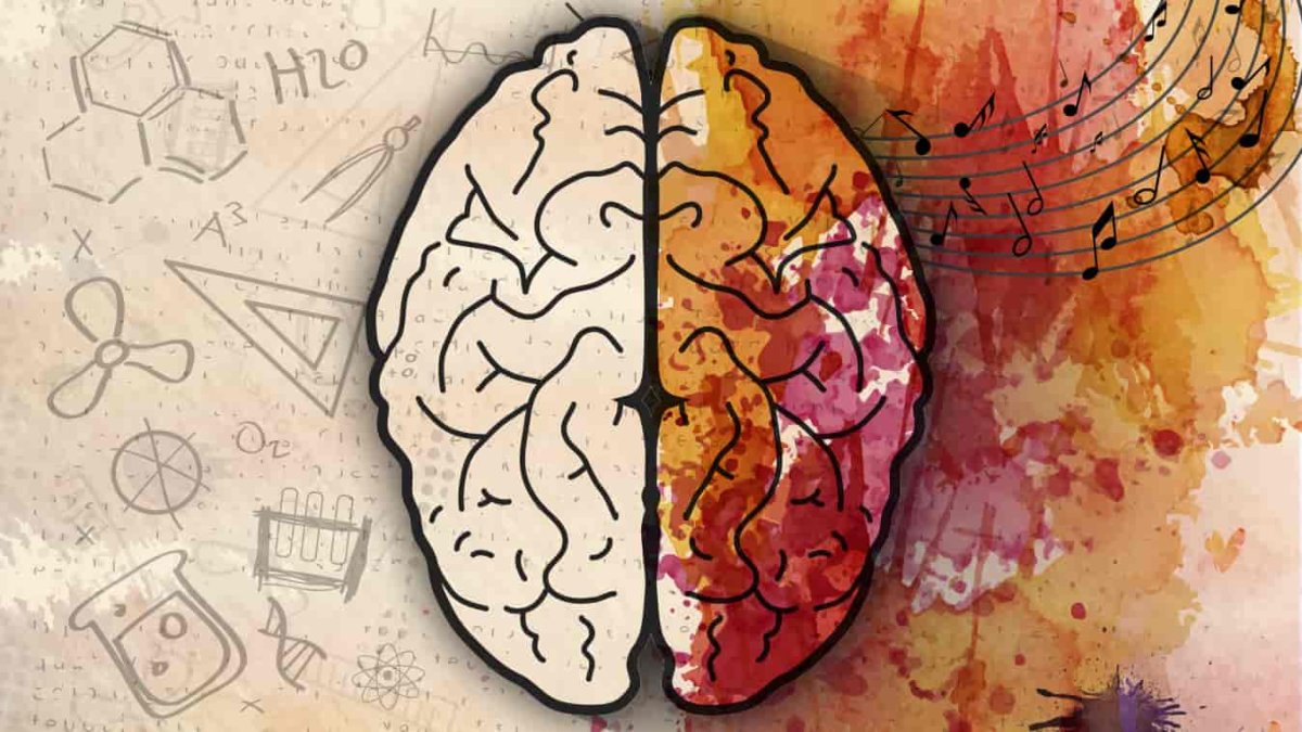 Мозг выключен