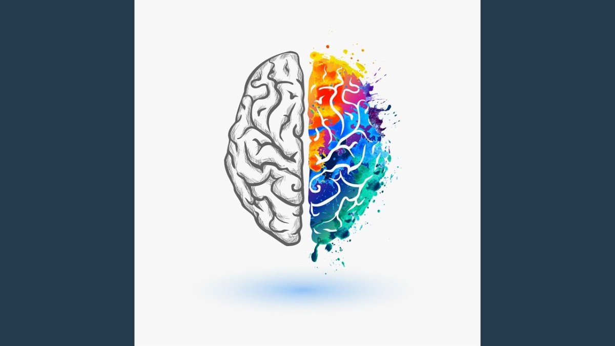 Творческое полушарие